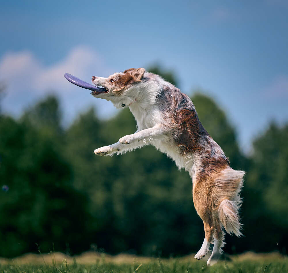 Photograph by Mikhail Khmelevskiy