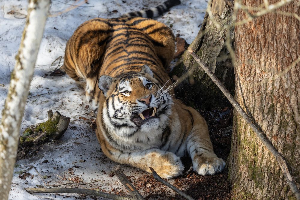 Photograph by Владимир Охрименко