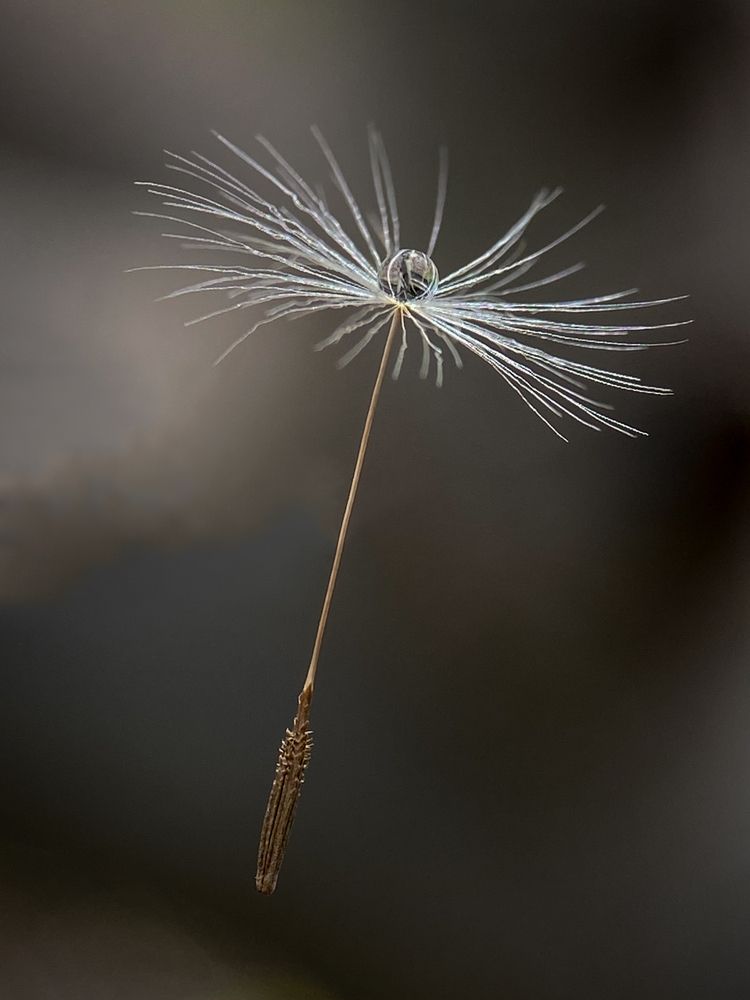 Photograph by Андрей Васильев