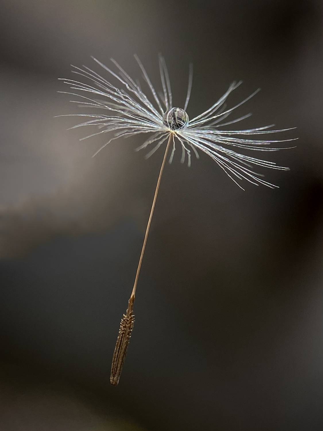 Photo #13512634