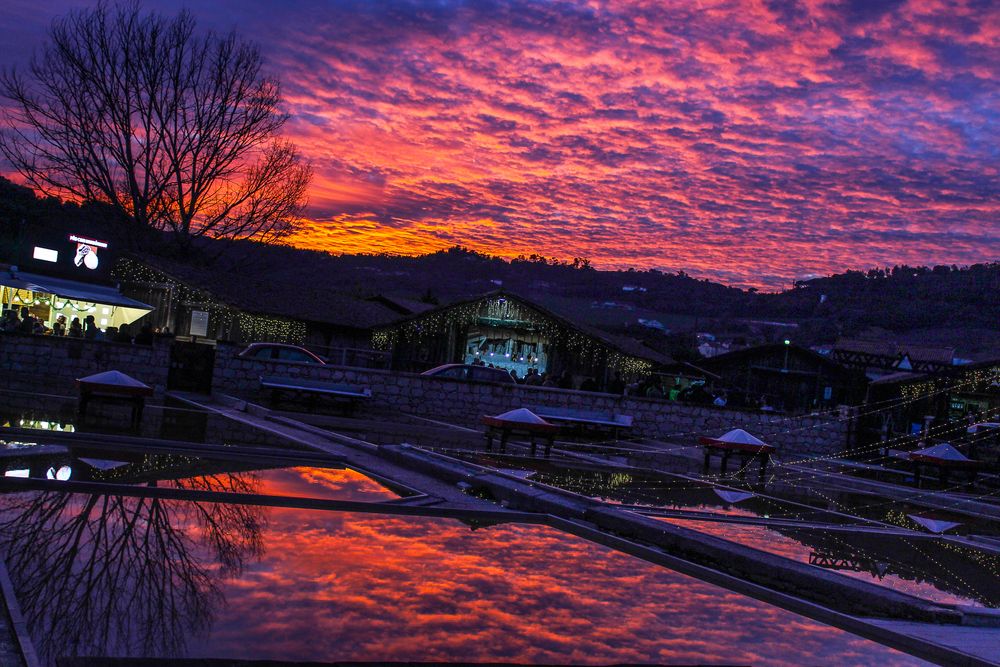Photograph by Francisco Ferreira