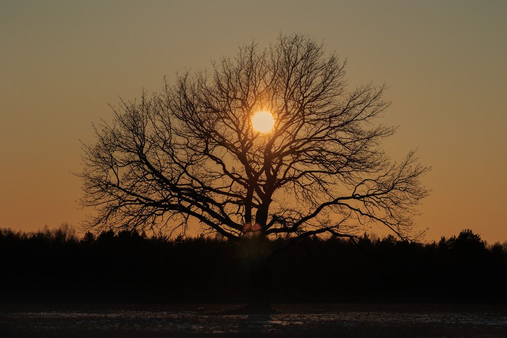 Photograph by Наталья Кирина