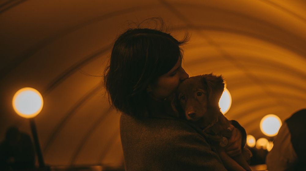 Photograph by София Арт