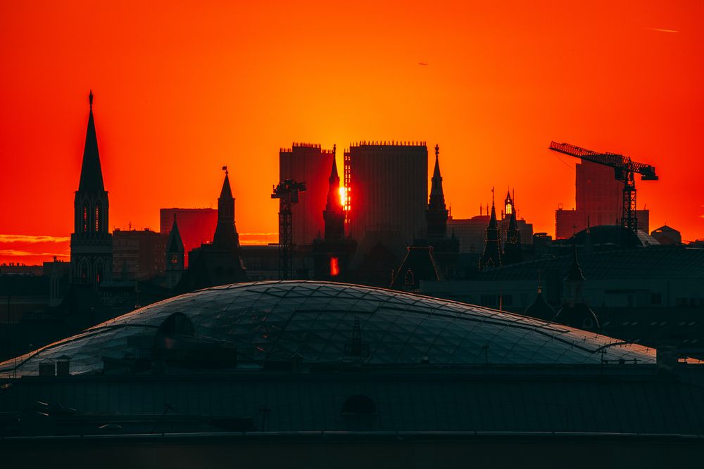 Фотография автора Трепольский Дмитрий