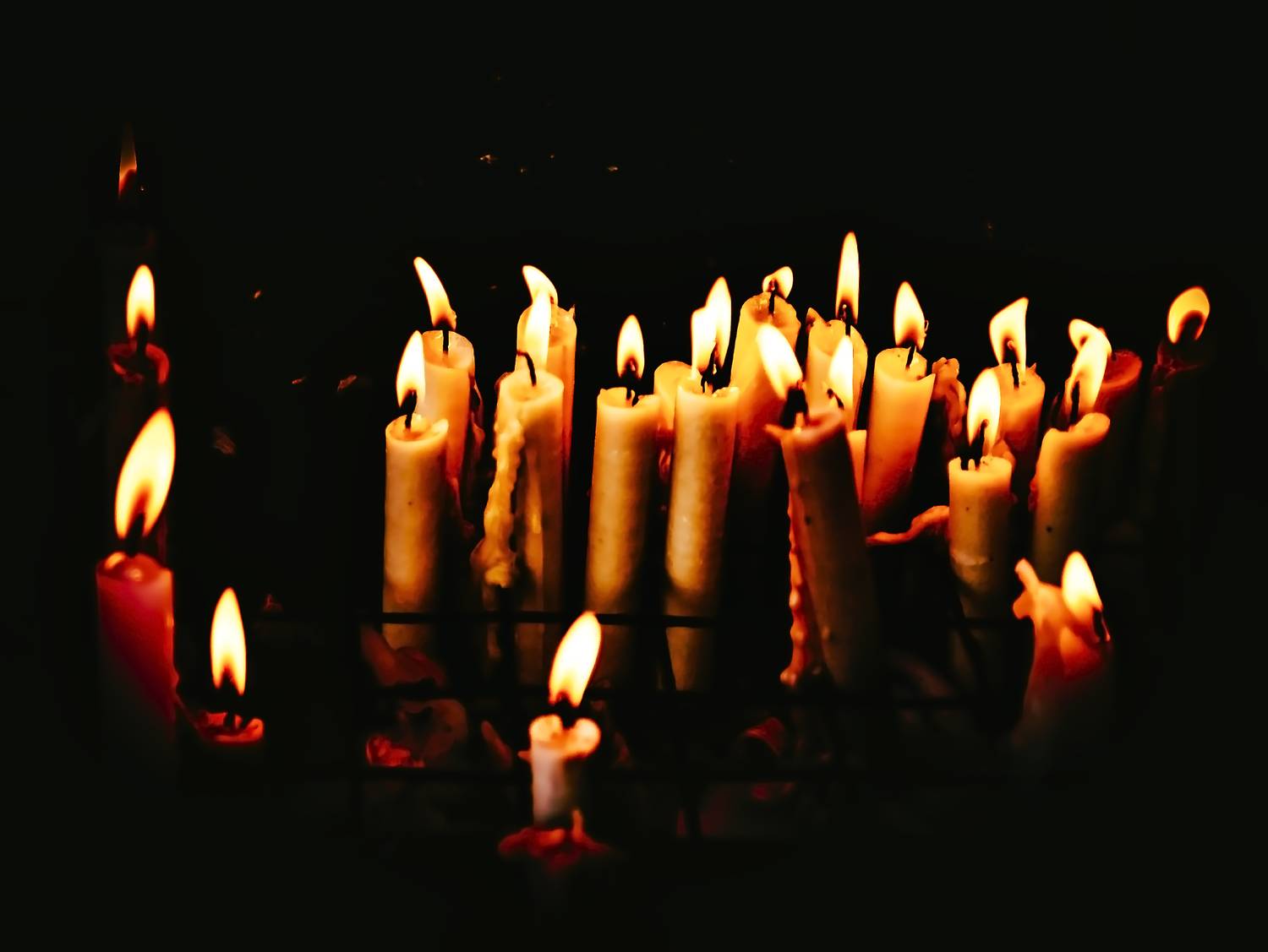 Photo #13513246