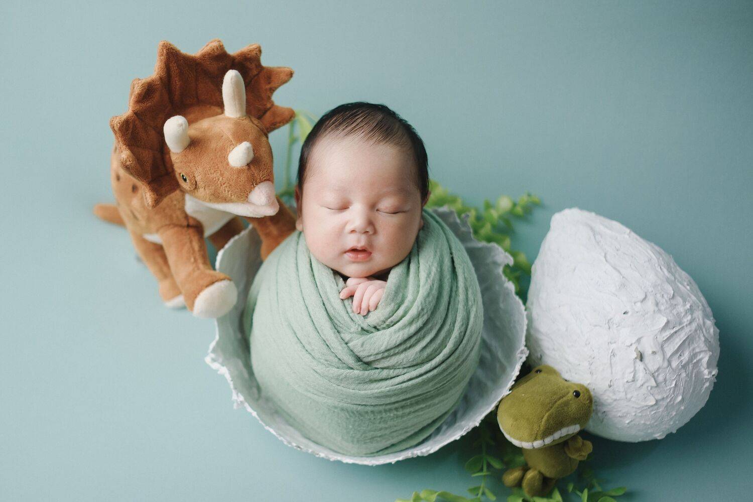 Photo #13513370