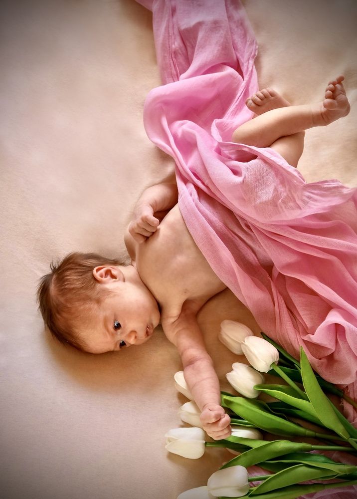 Фотография автора Александра Брусенцова