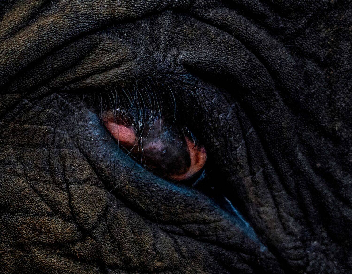 Eye of the Ancient