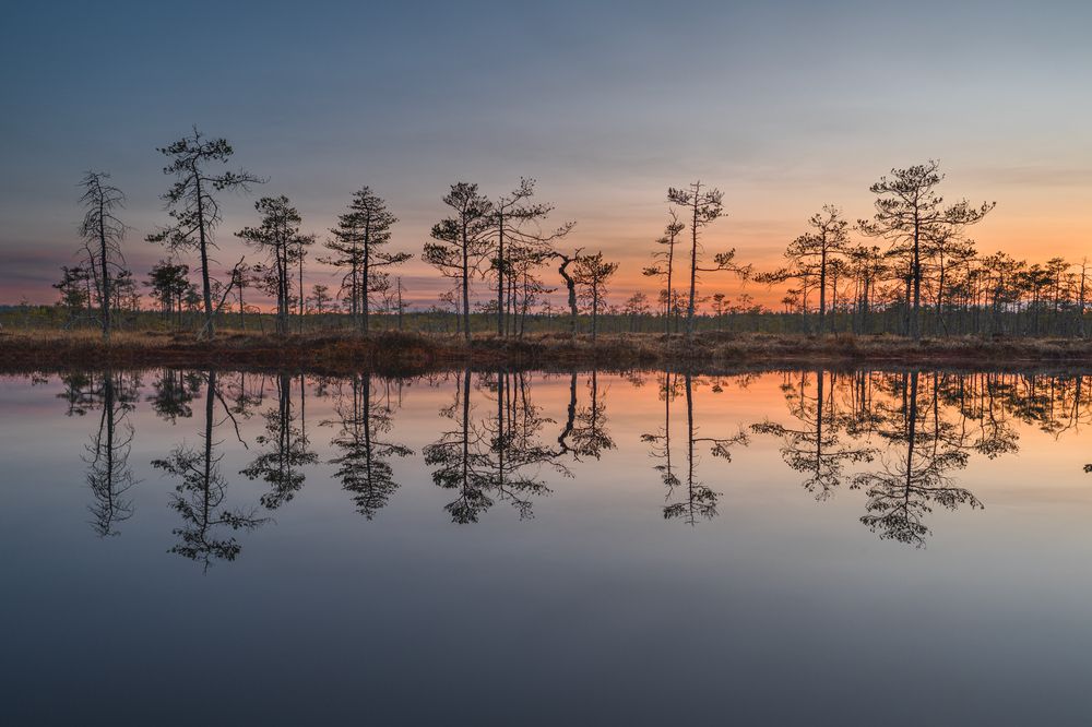 Photograph by Вячеслав Косенков