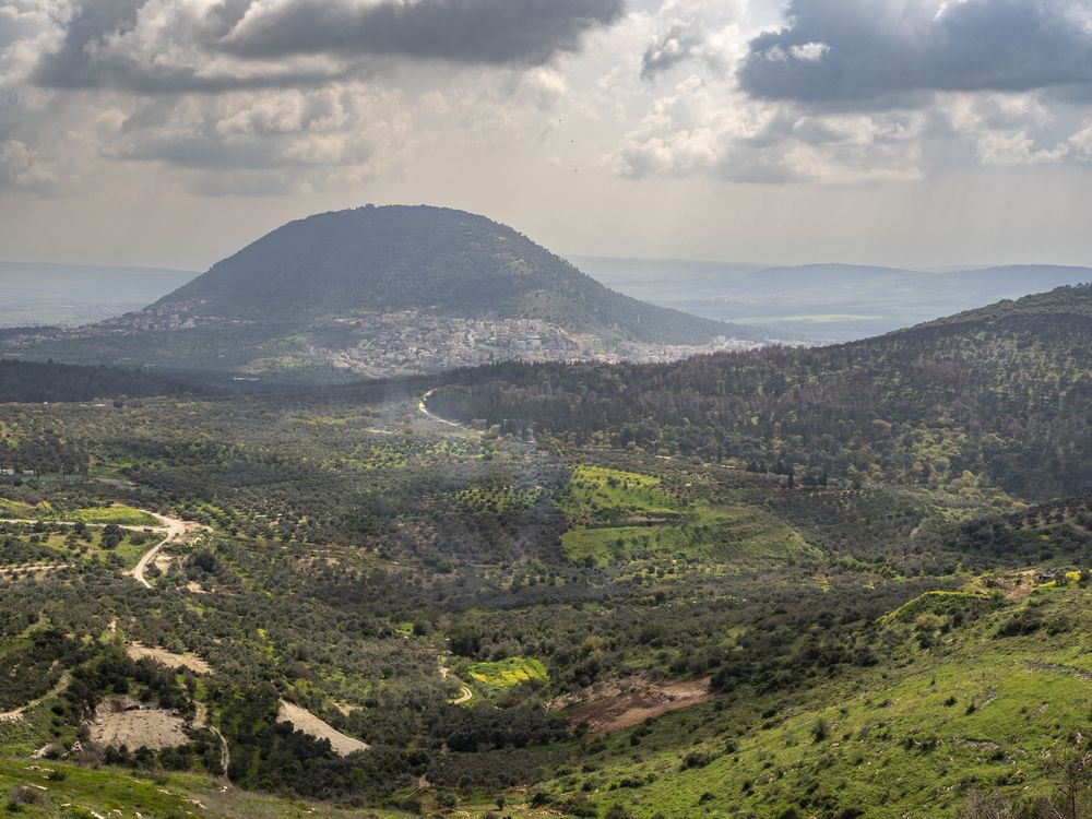 Photograph by Semion Ribinik
