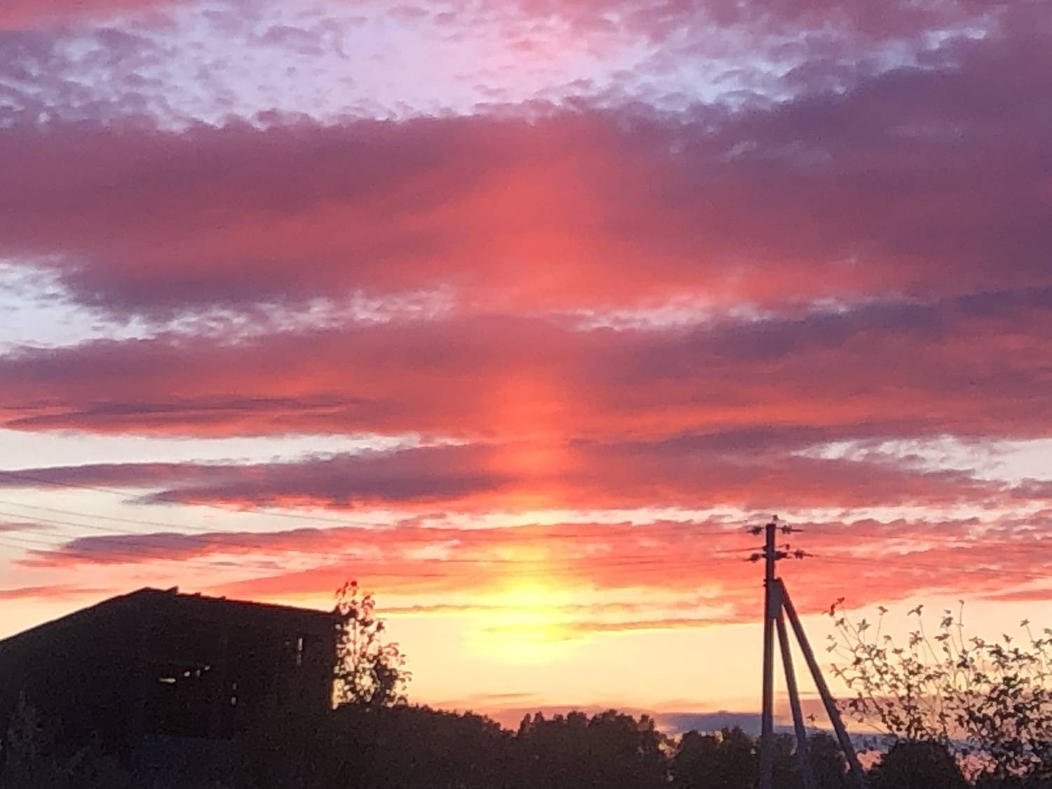 Photo #13513626