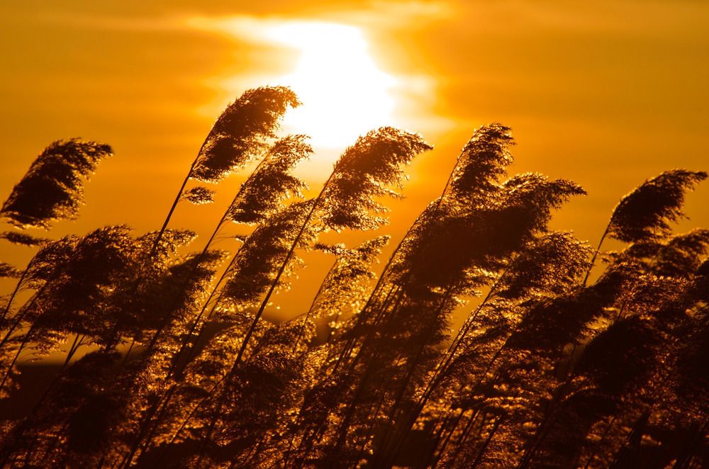 Photograph by Ирина Бабич