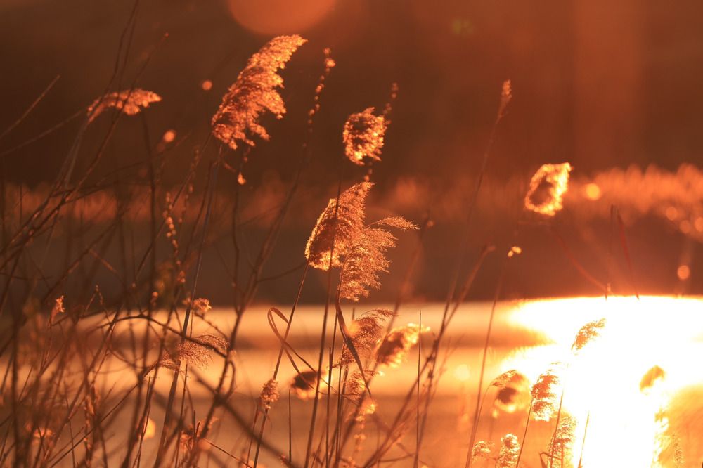 Photograph by Ирина Бабич