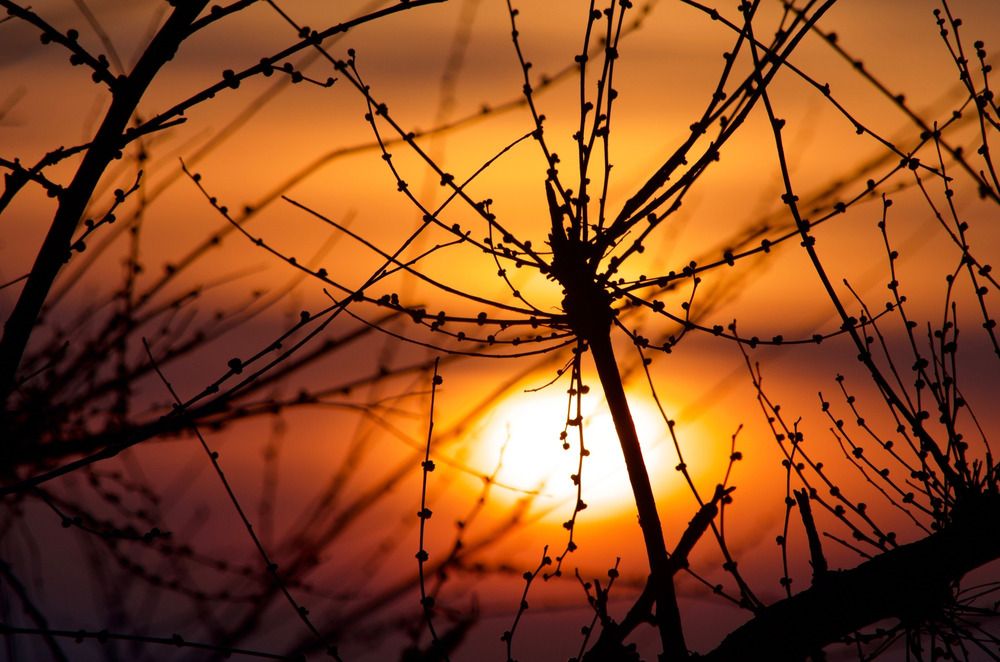 Photograph by Ирина Бабич