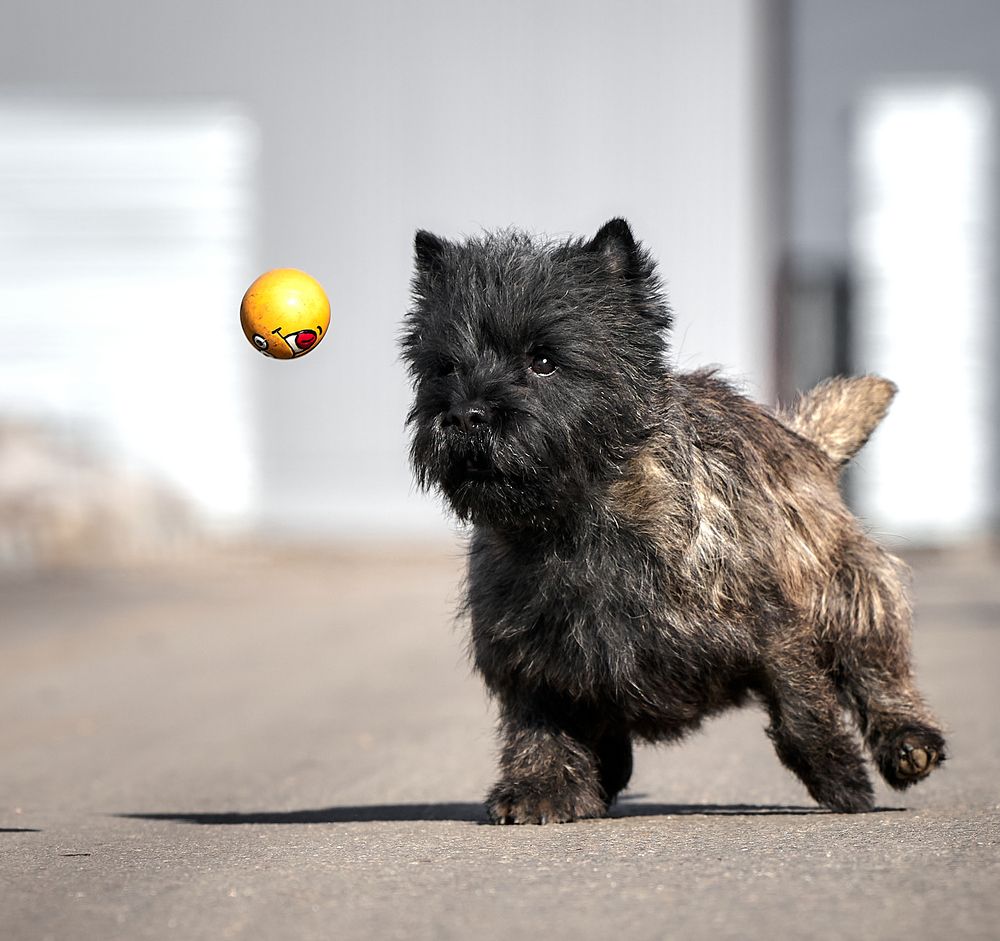 Photograph by Андрей Некрашевич