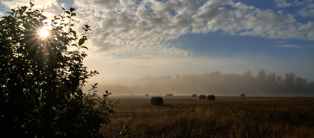 Photograph by Андрей Некрашевич