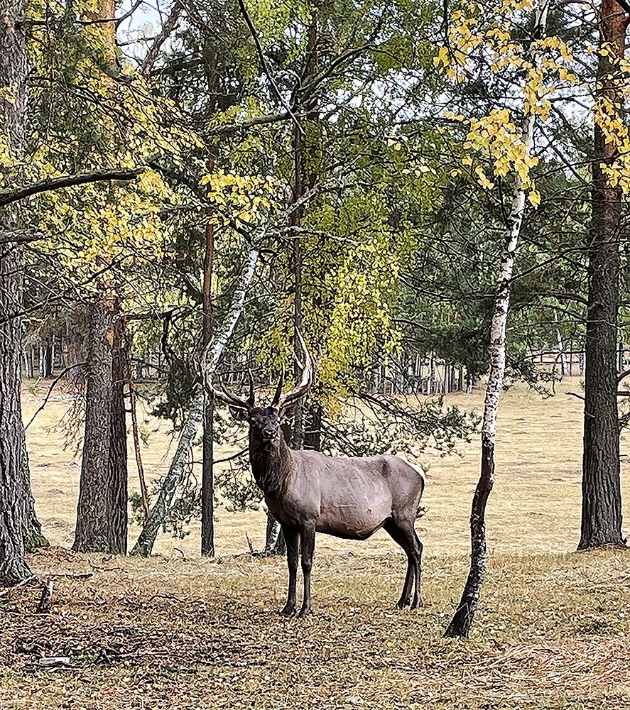 Photograph by Алексей Патлах
