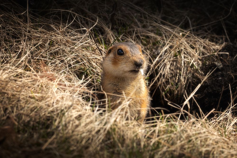 Photograph by Татьяна Бирюкова