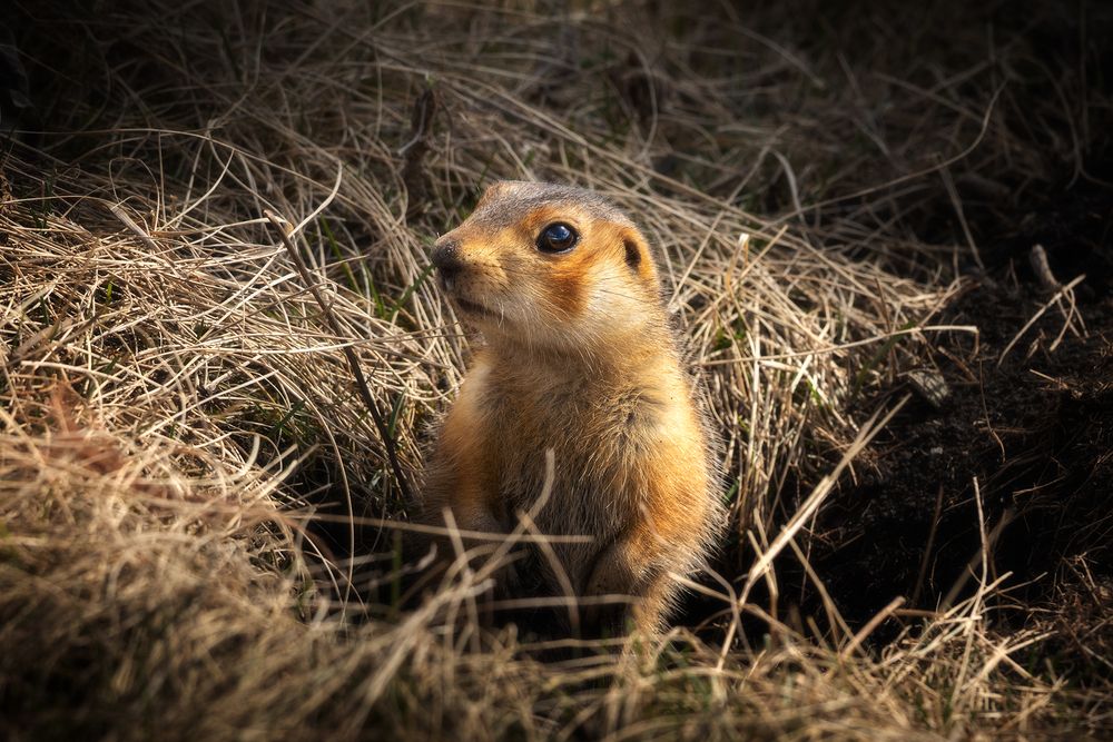 Photograph by Татьяна Бирюкова