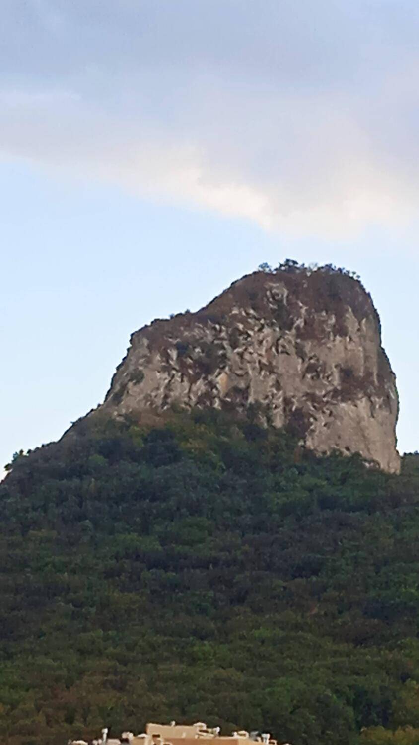 Гора.