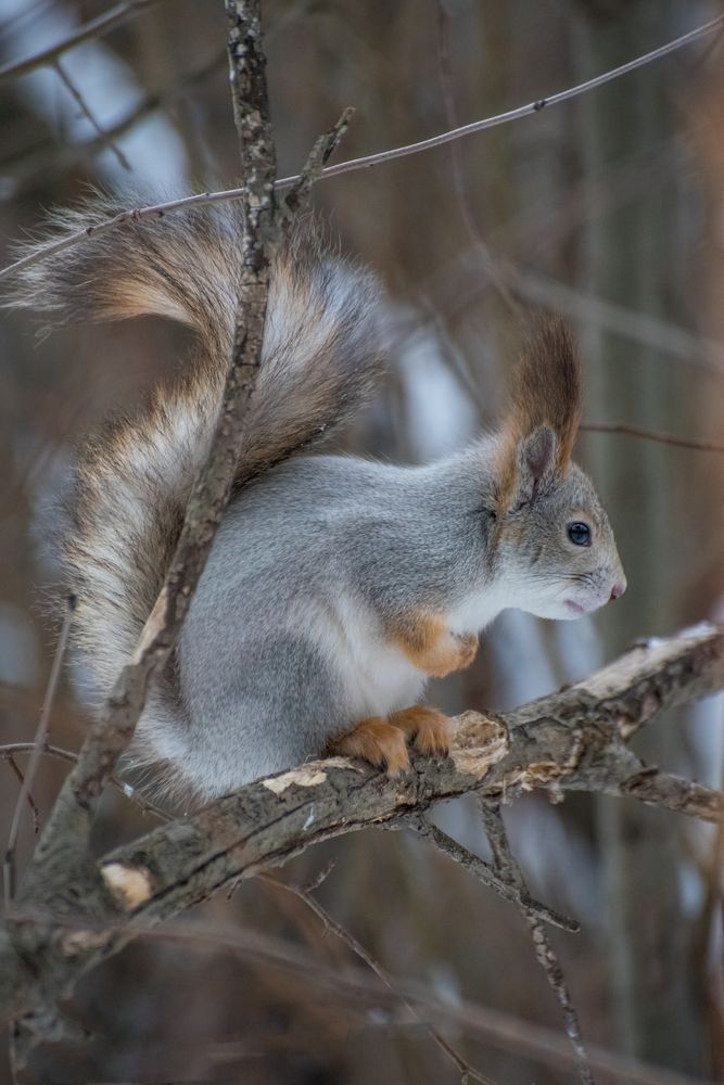 Photograph by Ирина