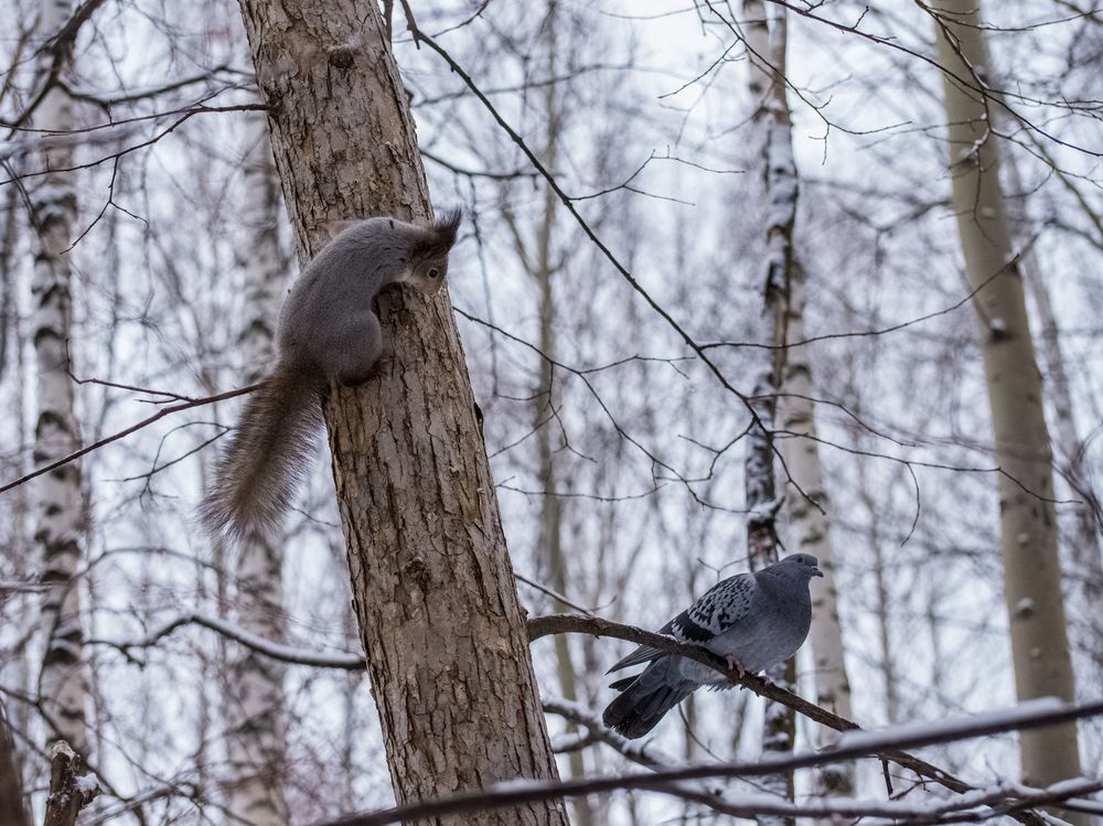 Photograph by Ирина