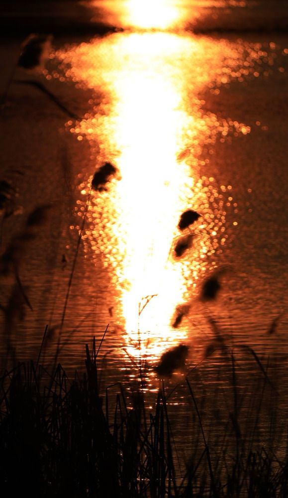 Photograph by Ирина Бабич