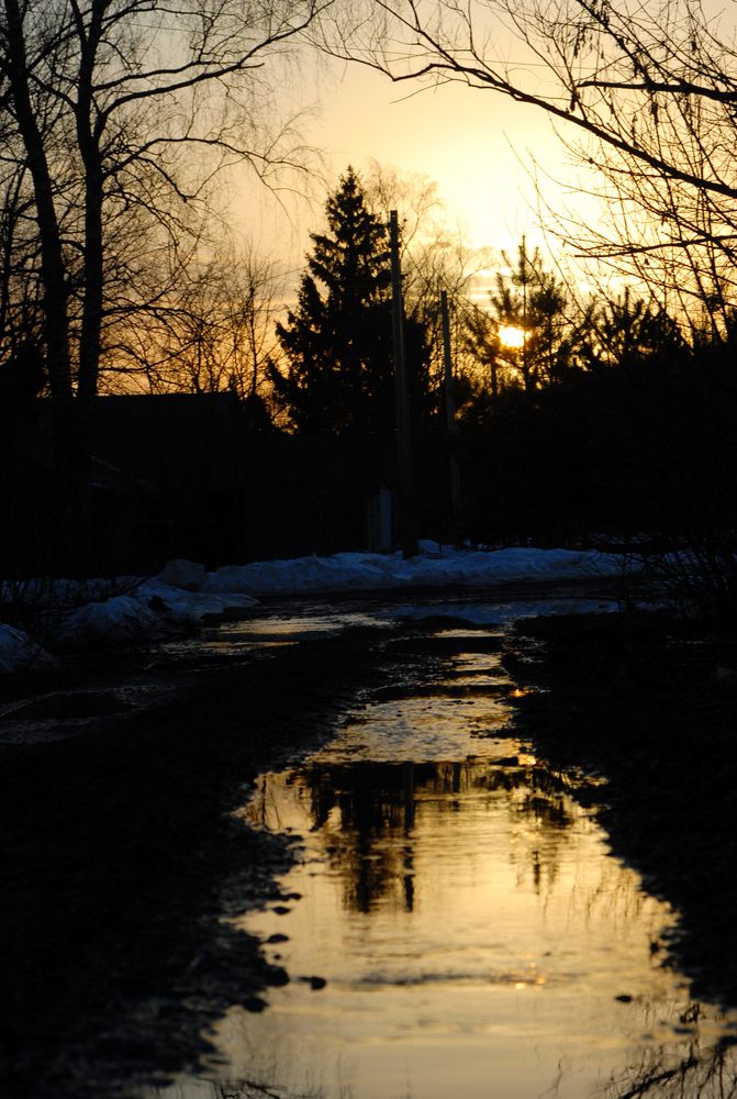 Photo #13514690