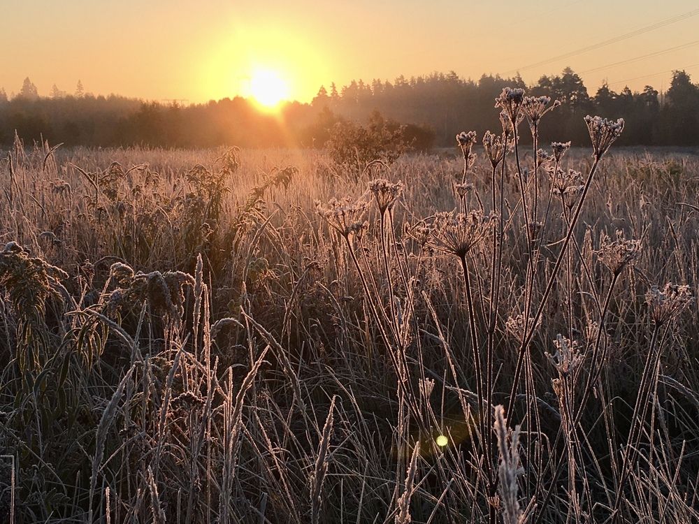 Photograph by Ионова Татьяна