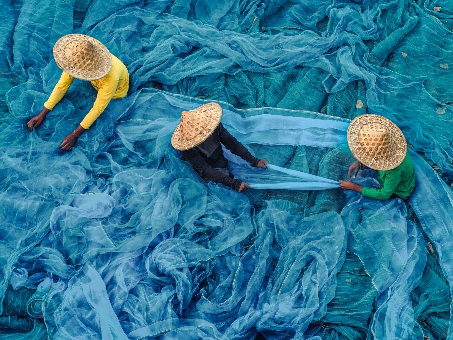 Rhythm Of The Nets