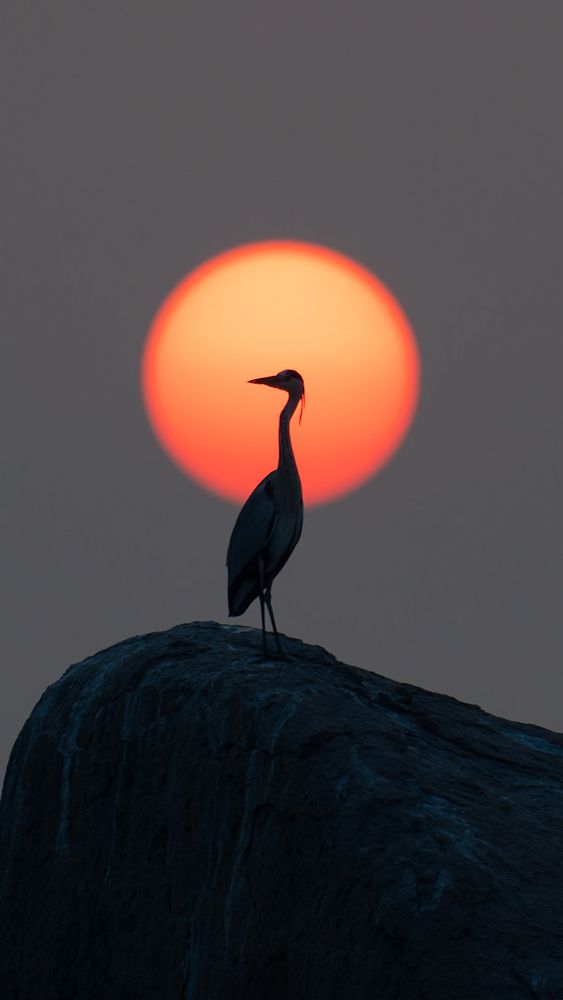 Photograph by Abhishek Pradhan
