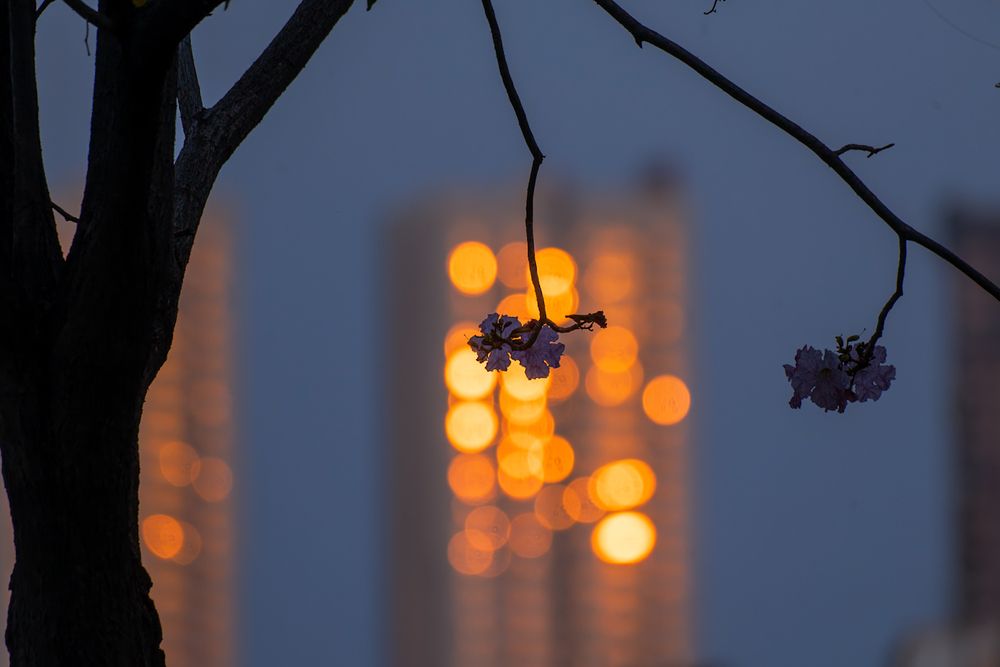 Photograph by Abhishek Pradhan