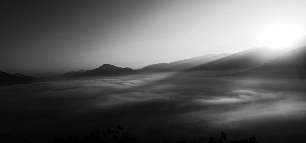 Whispers of Dawn in the Mist