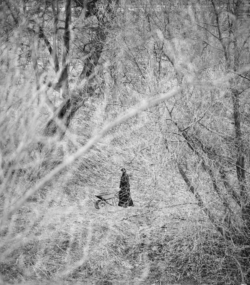 Photo #13515287