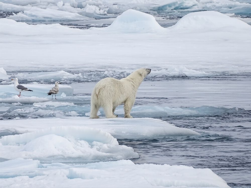 Photograph by Ivan Karavka