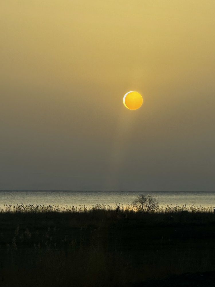 Photograph by Галина Шиманцова