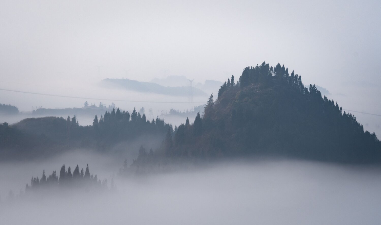 Photo #13515827