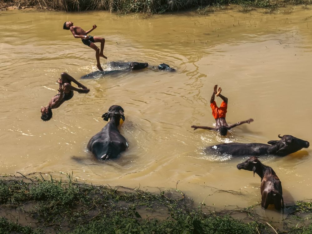 Фотография автора Monojit Dutta