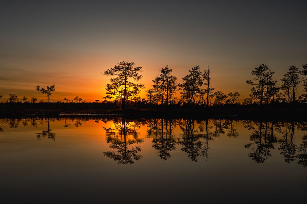 Photograph by Вячеслав Косенков