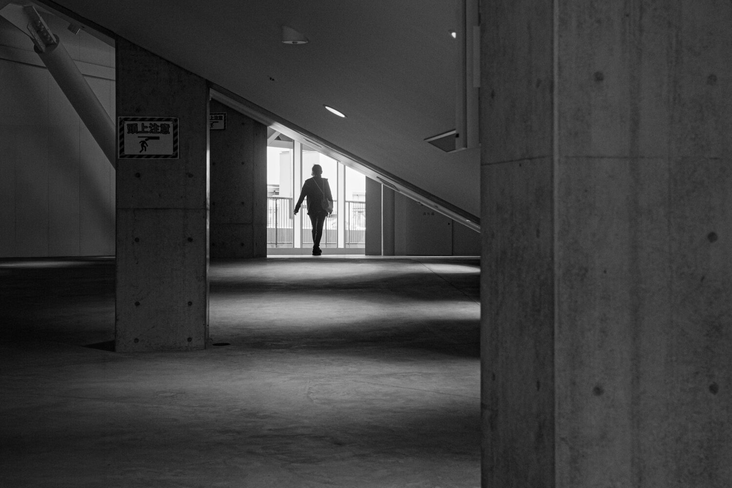 Photo #13516058