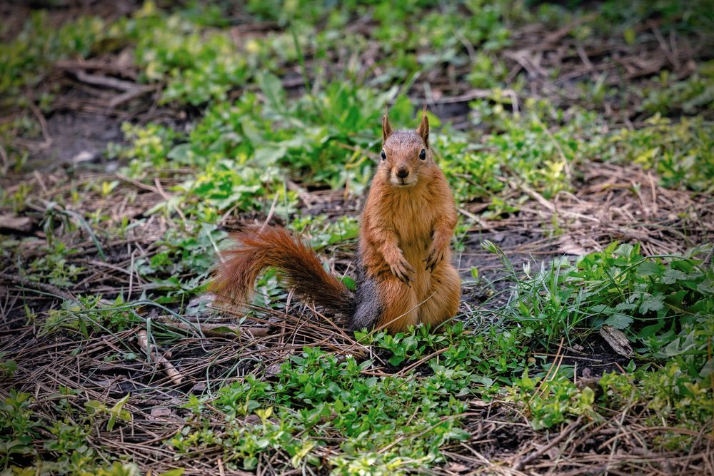 Photograph by Андрей Барышников