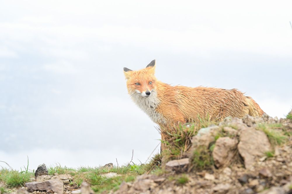 Photograph by Иван Губский