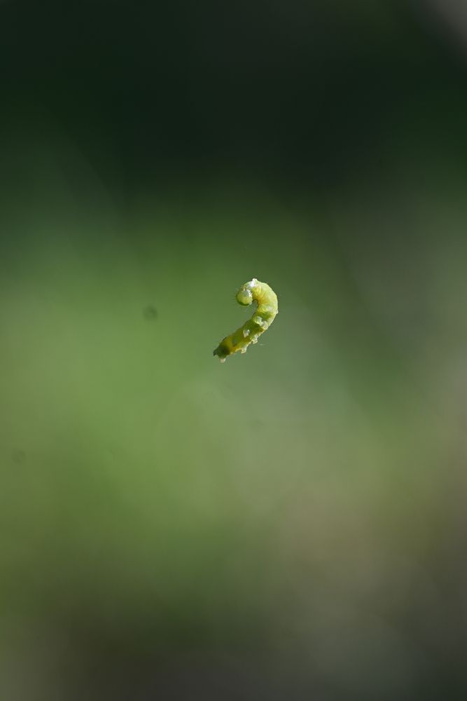 Photograph by Maria Vittoria Amoruso