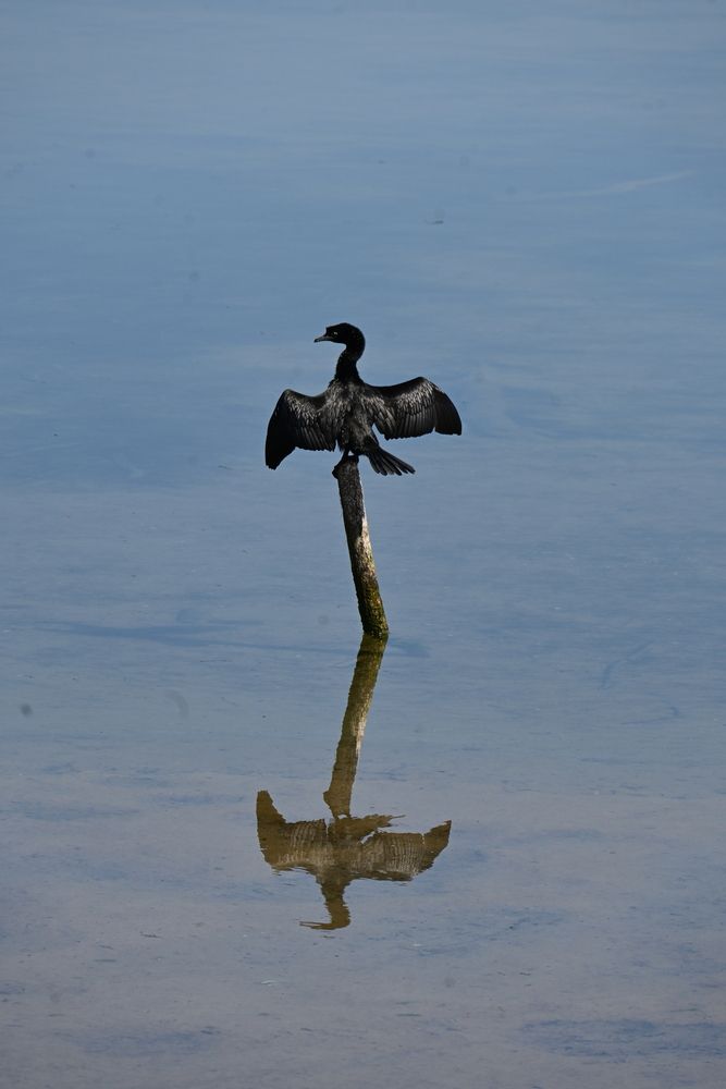 Photograph by Maria Vittoria Amoruso