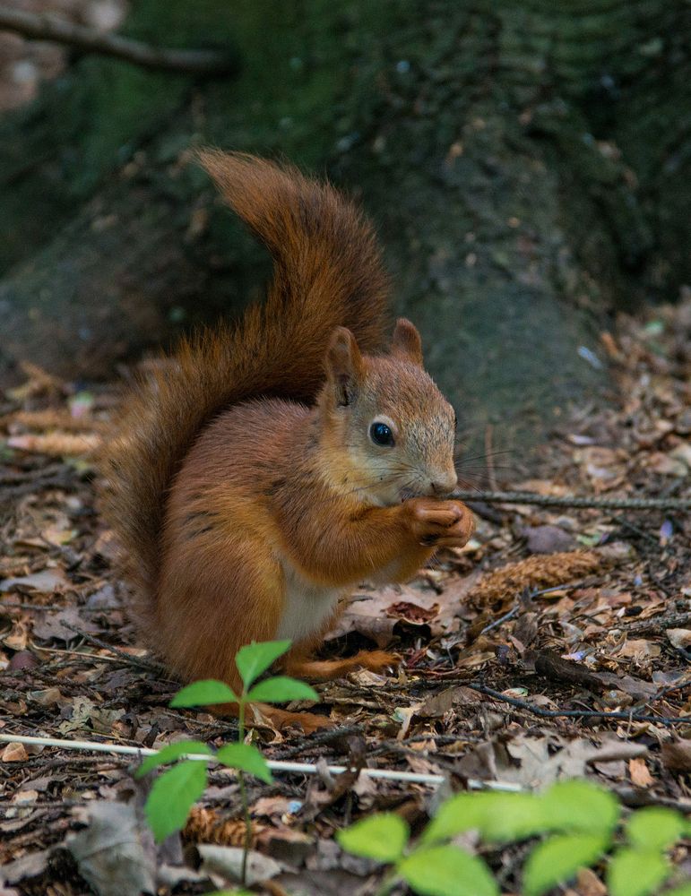 Photograph by Андрей Чуйков