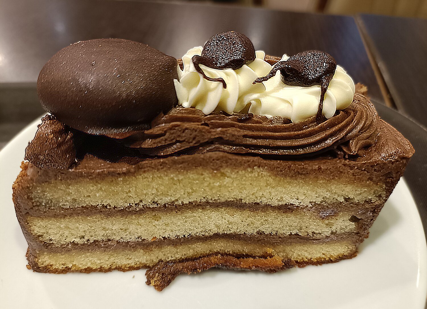 Photo #13516796