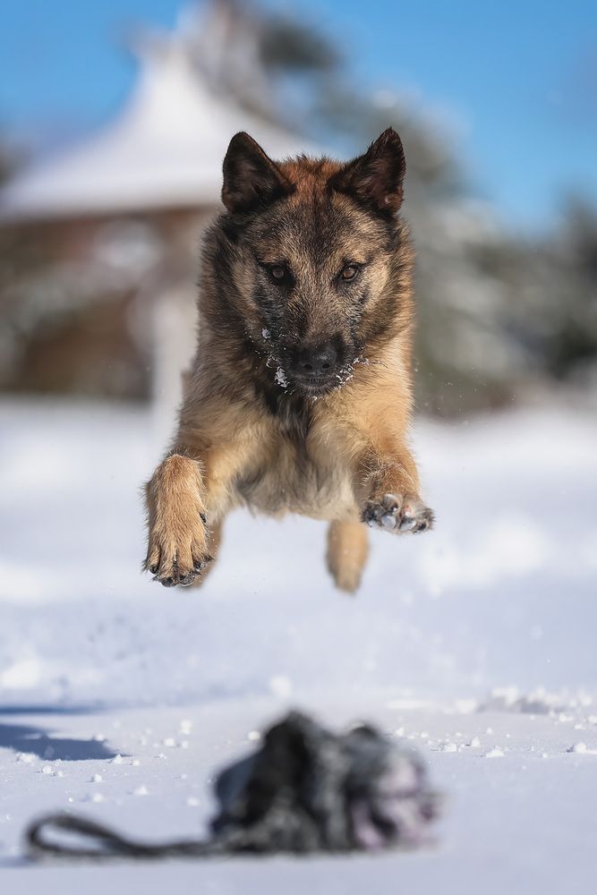 Photograph by Надежда Гомонова