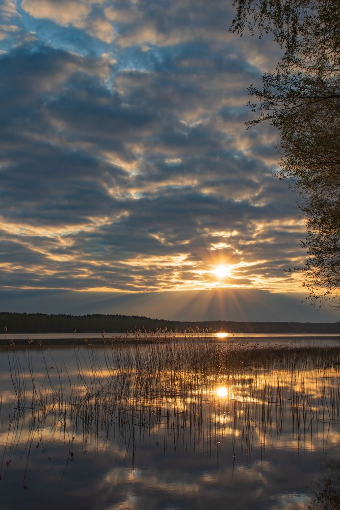 Photograph by Еловик Валерий