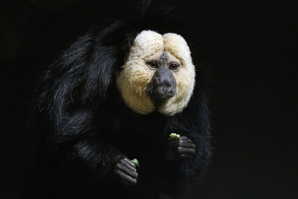 Photograph by ALI Pashang