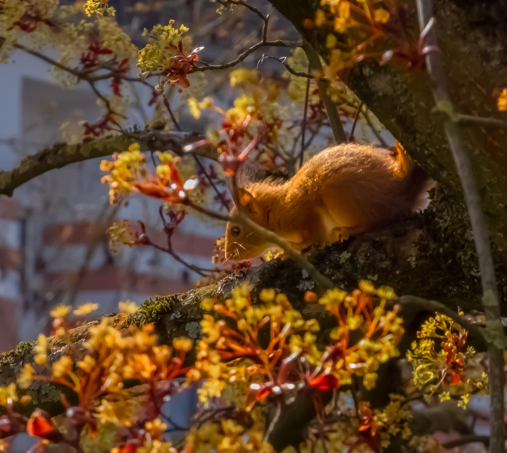 Photograph by Vitalii Kaznin